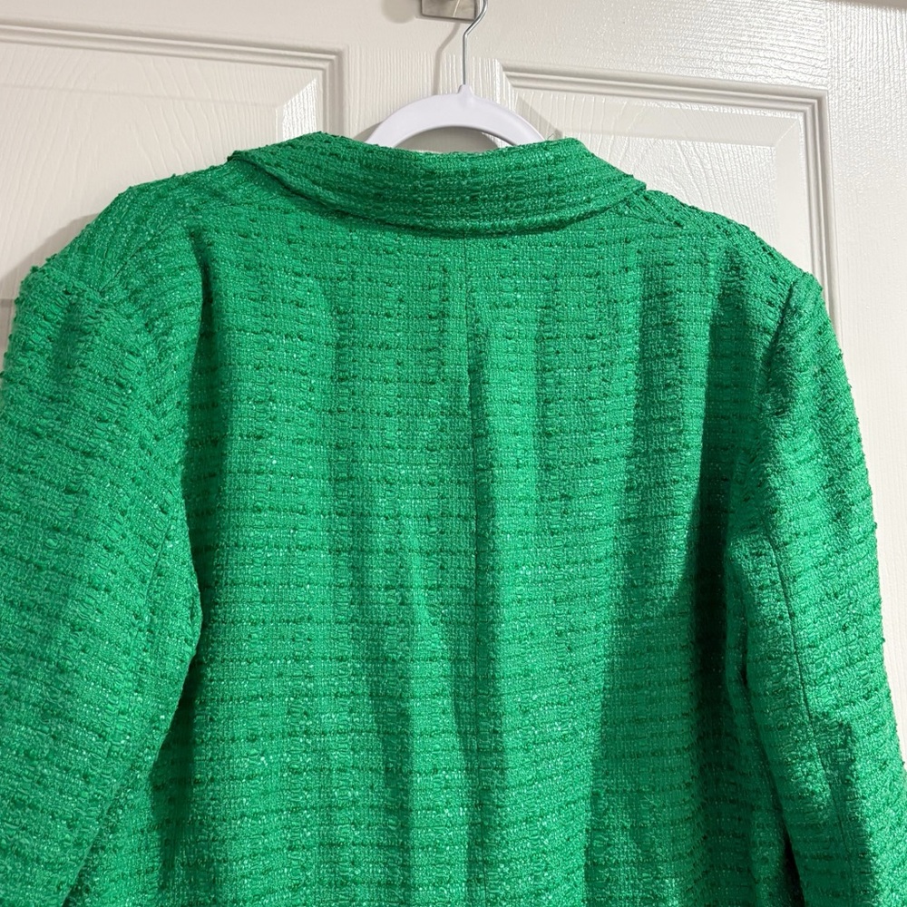 Zara Textured Double Breasted Blazer Tweed Longline Fall Boho Green Sz Large NWT - Picture 10 of 11